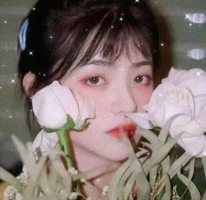 南海之花